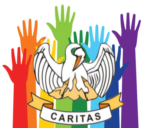 MAfr Plenary Council – Kampala 2019